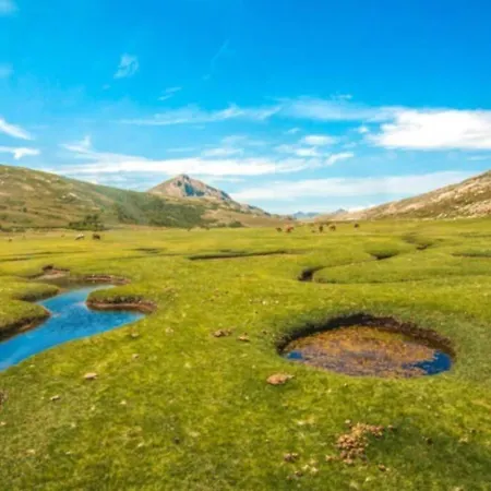 Apartament Magnifique Grand T3 Refait A Neuf En 2025 Plein Centre 13 Cours Paoli Wifi Ecran Plat Lave Linge 6 Couchages Corte (Corsica)