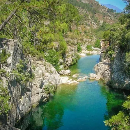 Magnifique Grand T3 Refait A Neuf En 2025 Plein Centre 13 Cours Paoli Wifi Ecran Plat Lave Linge 6 Couchages