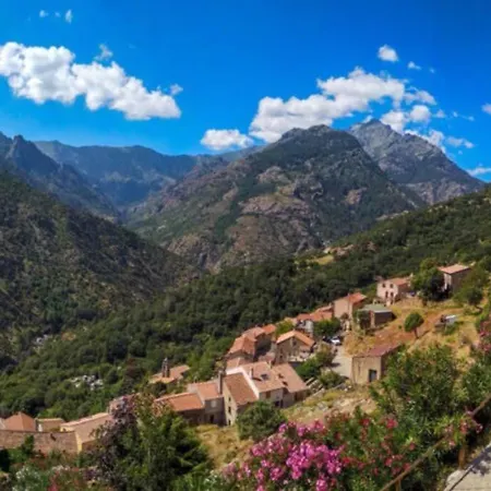 Apartamento Magnifique Grand T3 Refait à Neuf En 2025 Plein Centre 13 Cours Paoli Wifi écran Plat Lave Linge 6 Couchages *