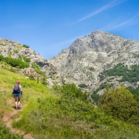 Magnifique Grand T3 Refait A Neuf En 2025 Plein Centre 13 Cours Paoli Wifi Ecran Plat Lave Linge 6 Couchages 코테