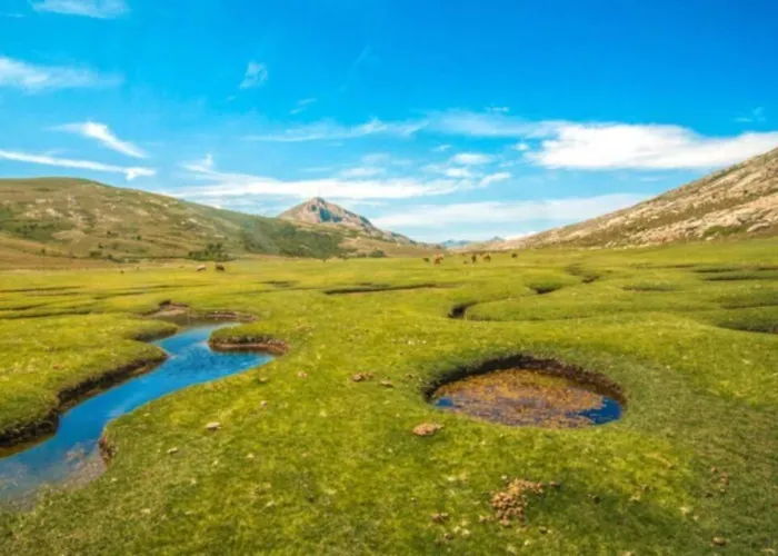 Apartmán Magnifique Grand T3 Refait A Neuf En 2025 Plein Centre 13 Cours Paoli Wifi Ecran Plat Lave Linge 6 Couchages Corte (Corsica)