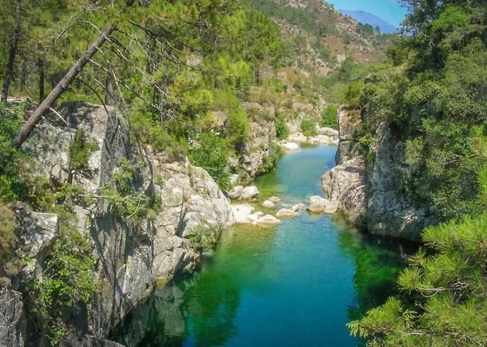 Magnifique Grand T3 Refait A Neuf En 2025 Plein Centre 13 Cours Paoli Wifi Ecran Plat Lave Linge 6 Couchages