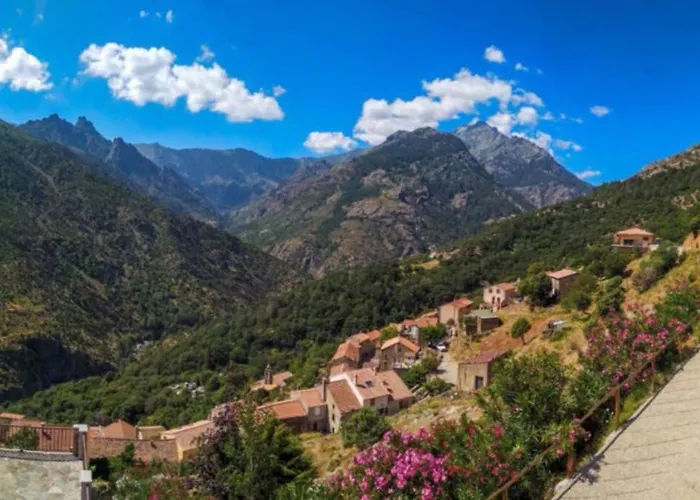 Appartamento Magnifique Grand T3 Refait à Neuf En 2025 Plein Centre 13 Cours Paoli Wifi écran Plat Lave Linge 6 Couchages *