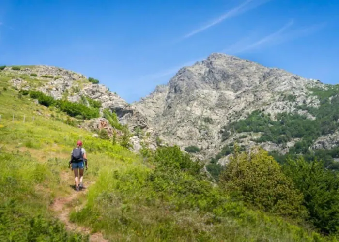 Magnifique Grand T3 Refait A Neuf En 2025 Plein Centre 13 Cours Paoli Wifi Ecran Plat Lave Linge 6 Couchages Corte (Corsica)